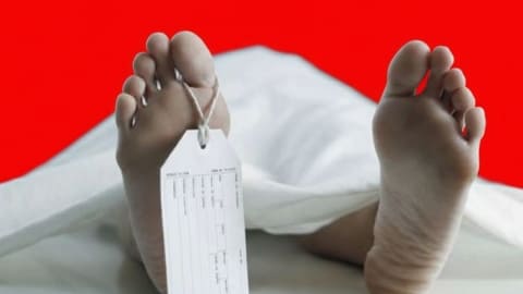 Geger! Warga Anjungan Temukan Mayat Pria dengan Luka di Tepi Jalan Geger! Warga Anjungan Temukan Mayat Pria dengan Luka di Tepi Jalan