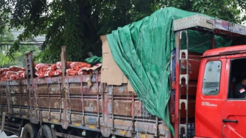 Penyelundupan 30 Ton Bawang Bombay Ilegal Berhasil Digagalkan Penyelundupan 30 Ton Bawang Bombay Ilegal Berhasil Digagalkan