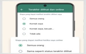 Cara Sembunyikan Status Online di WhatsApp