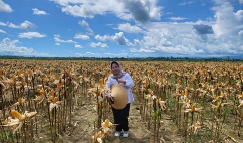 Penguatan Ketahanan Pangan dengan Smart Farming dan Agritech