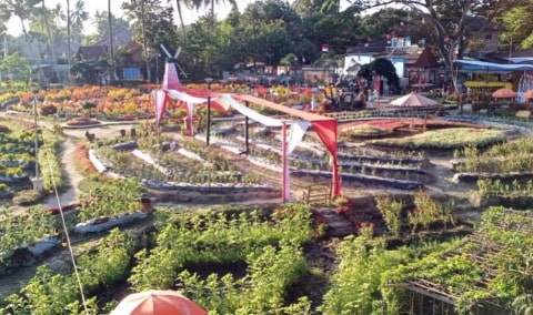 Sawah Kakung Magelang: Berpadunya Keindahan Alam dan Agrowisata