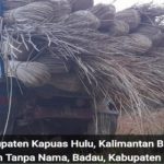 Cegah Penyelundupan, Bea Cukai Diminta Tegas terhadap Satu Truk Bermuatan Rotan Ilegal di Tapal Batas