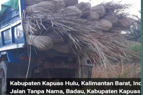 Cegah Penyelundupan, Bea Cukai Diminta Tegas terhadap Satu Truk Bermuatan Rotan Ilegal di Tapal Batas