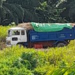Bea Cukai Amankan Satu Truk Bermuatan Rotan Ilegal di Badau