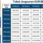 Cara Mengajukan KUR BRI 2025 Secara Online dari Brimo: Solusi Modal Usaha untuk Pelaku UKM