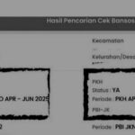 Cara Cek Bansos PKH dan BPNT 2025 Lewat Aplikasi Kemensos