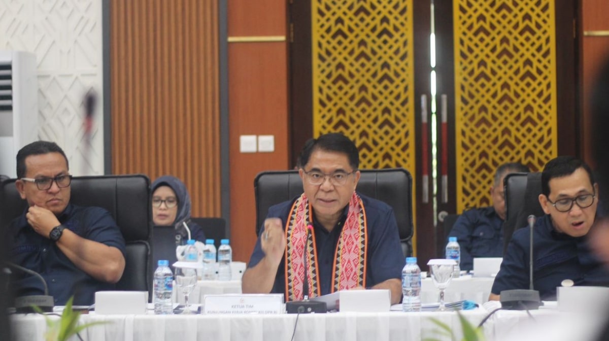 Franciscus Sibarani Franciscus Sibarani Ketua Tim Kunjungan Kerja Komisi XIII DPR RI