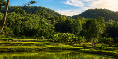 Gunung Ambawang Kubu Raya: Wisata Alam Kalimantan Barat Favorit