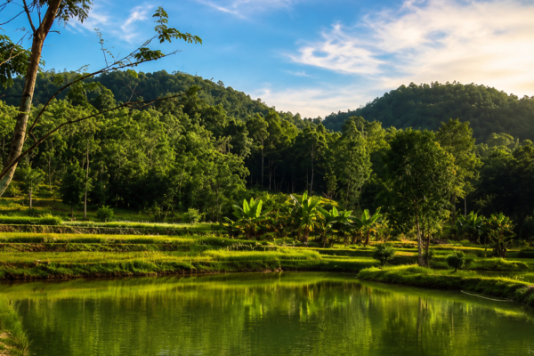 Gunung Ambawang Kubu Raya: Wisata Alam Kalimantan Barat Favorit