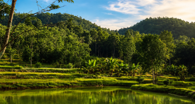 Gunung Ambawang Kubu Raya: Wisata Alam Kalimantan Barat Favorit