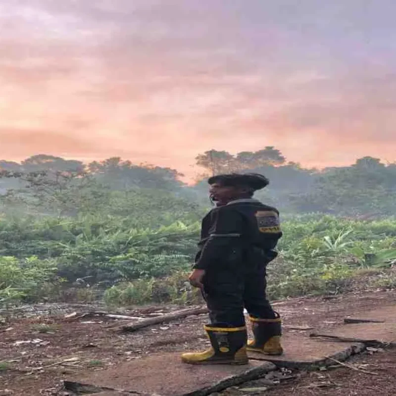 Waspada! Kebakaran Akibat Pemadaman Listrik Mengintai, Warga Diminta Cek Instalasi Rumah