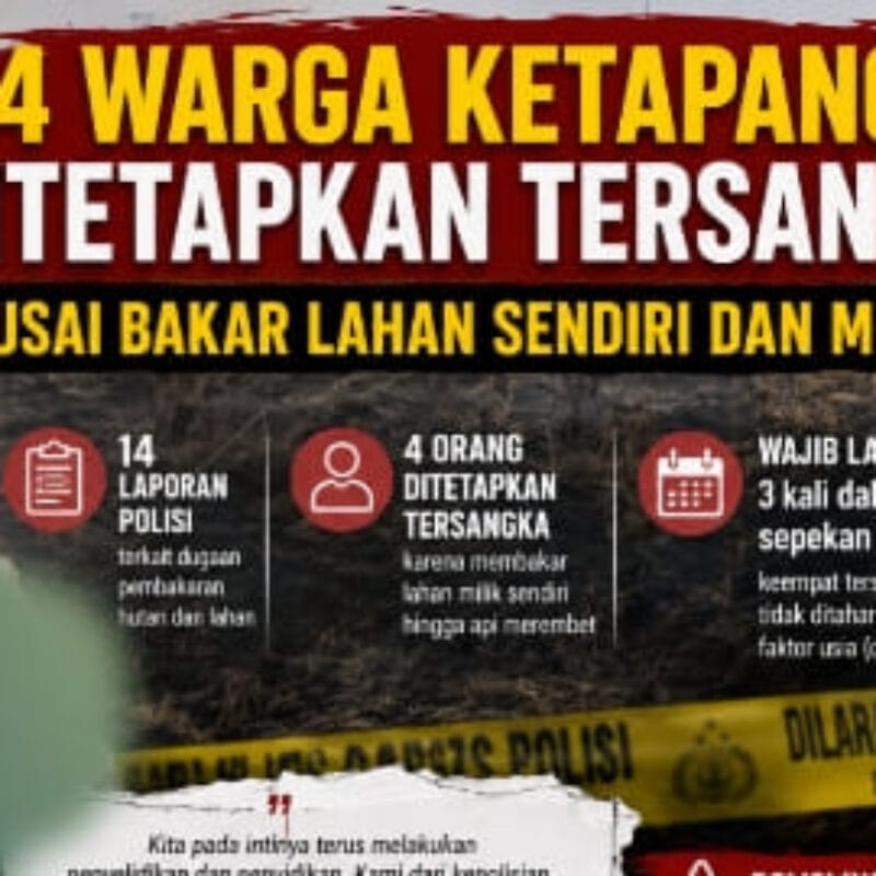 4 Warga Ketapang Jadi Tersangka Karhutla, Bakar Lahan Sendiri hingga Api Merembet