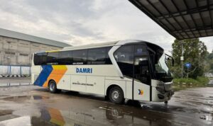 DAMRI Buka Rute Pontianak-Palangkaraya Tanpa Transit Segini Harganya DAMRI Buka Rute Pontianak-Palangkaraya Tanpa Transit Segini Harganya