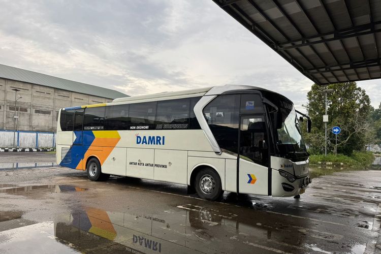 DAMRI Buka Rute Pontianak-Palangkaraya Tanpa Transit Segini Harganya DAMRI Buka Rute Pontianak-Palangkaraya Tanpa Transit Segini Harganya