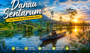 Danau Sentarum Kapuas Hulu: Surga Wisata Alam Kalbar  